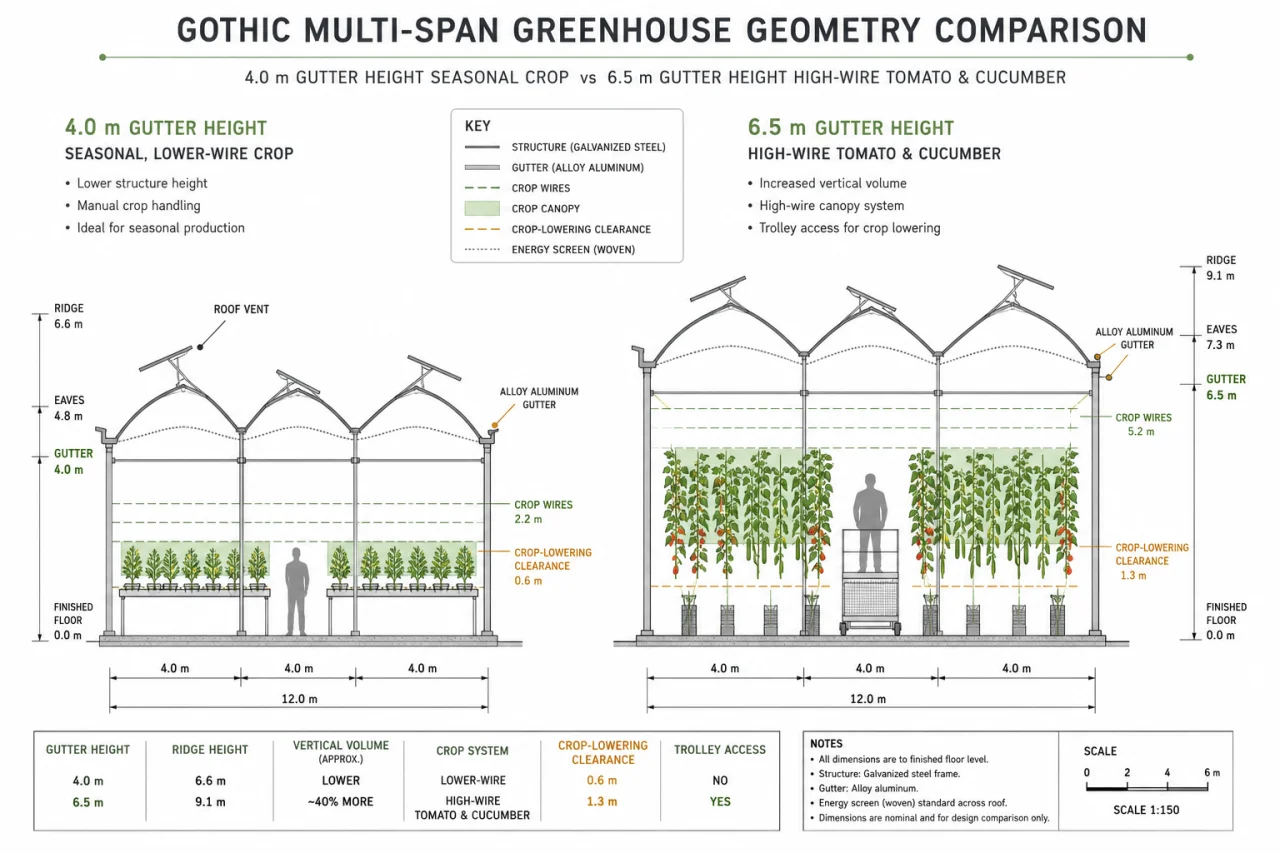 How High Should a Commercial Greenhouse Gutter Be? Crop, Heating and Labour Trade-Offs
