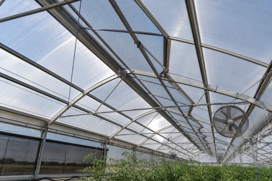 Does Insect Screen Reduce Greenhouse Ventilation? How to Evaluate the Trade-Off